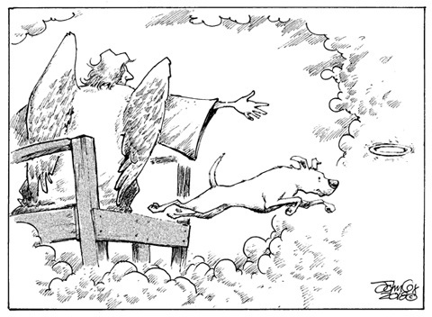 HeavenlyFetchCartoon.jpg